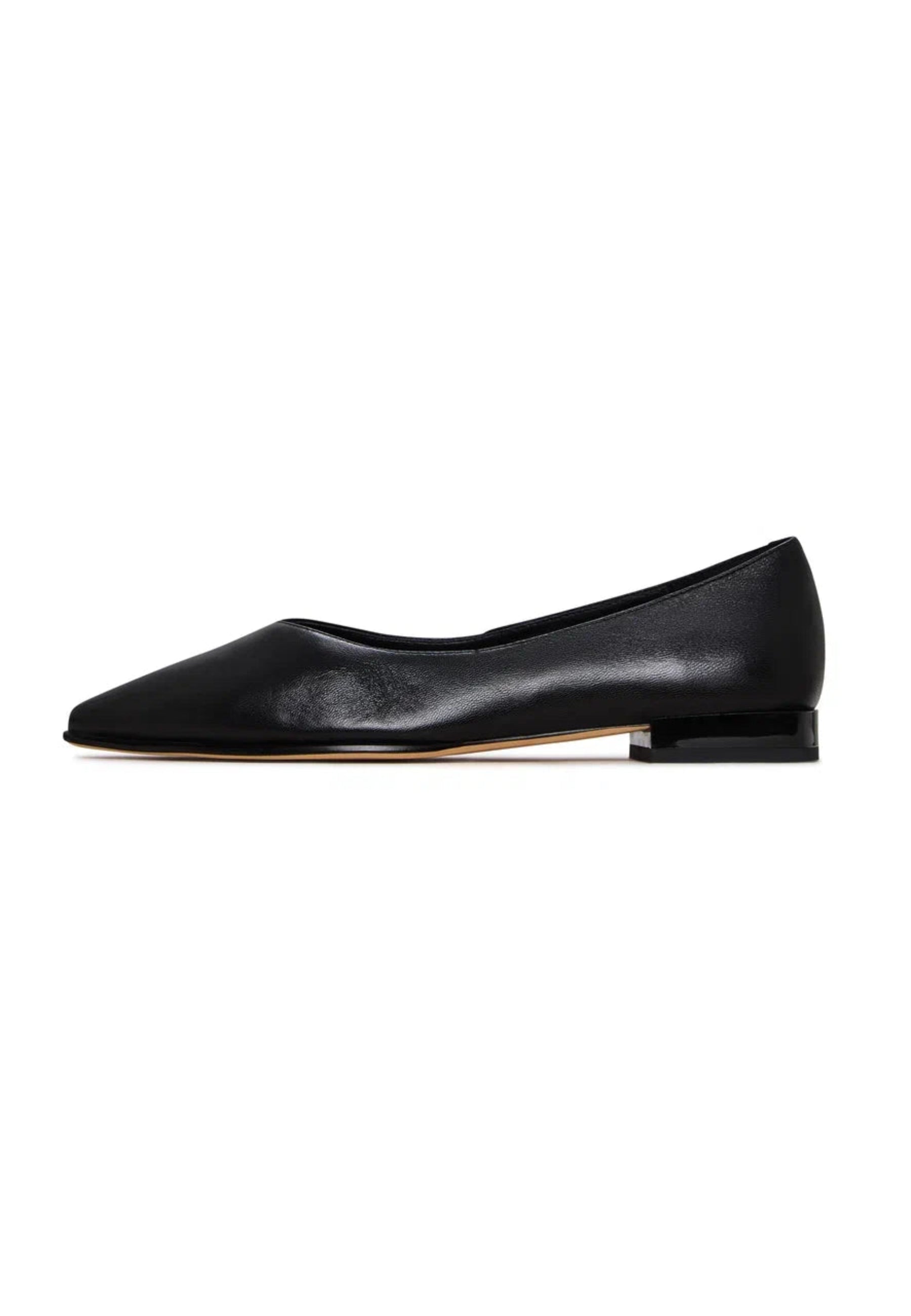 Classic Black Pointed-Toe Ballet Flats - Black