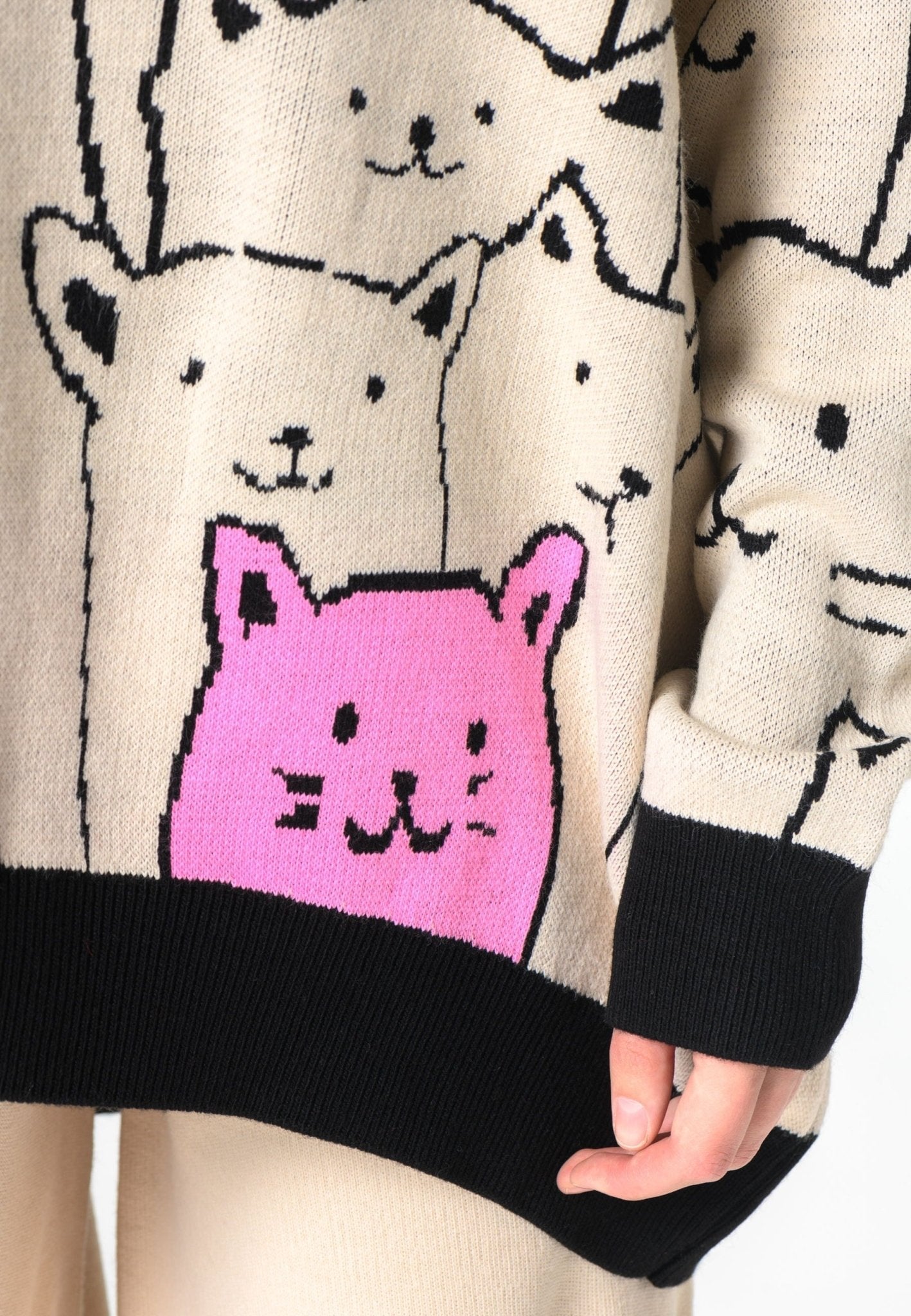 CG Cat Oversized Jumper - Cesare Gaspari -